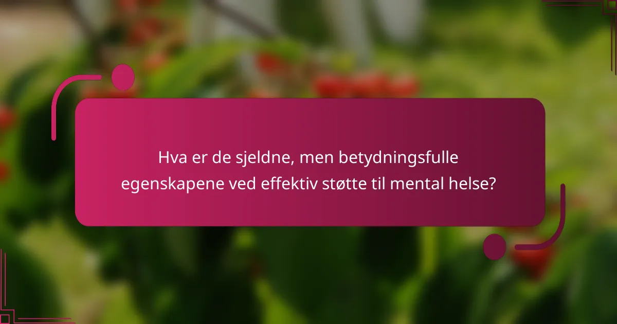 Hva er de sjeldne, men betydningsfulle egenskapene ved effektiv støtte til mental helse?