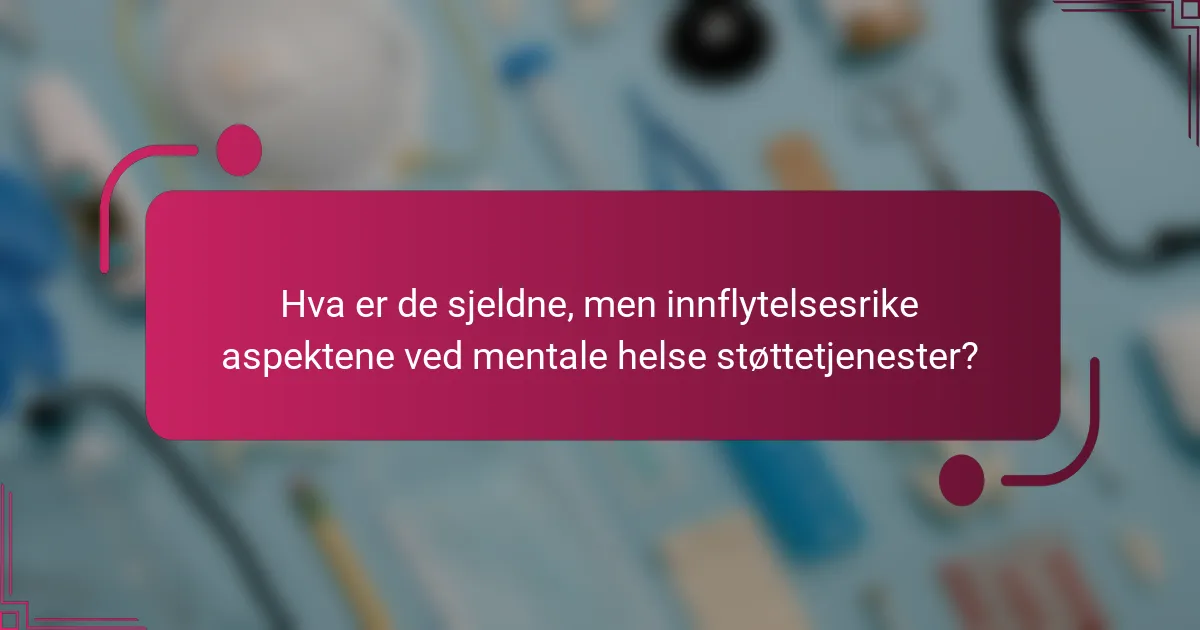 Hva er de sjeldne, men innflytelsesrike aspektene ved mentale helse støttetjenester?