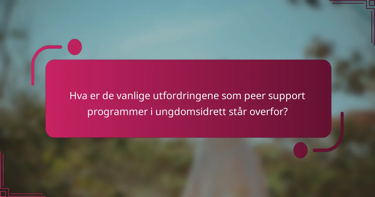 Hva er de vanlige utfordringene som peer support programmer i ungdomsidrett står overfor?