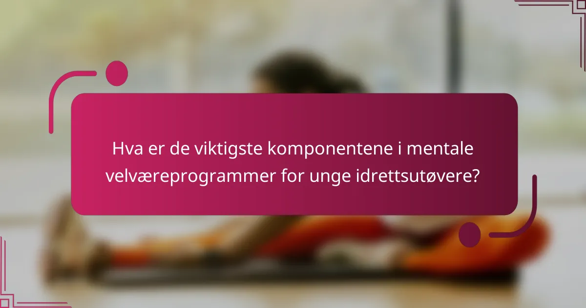 Hva er de viktigste komponentene i mentale velværeprogrammer for unge idrettsutøvere?