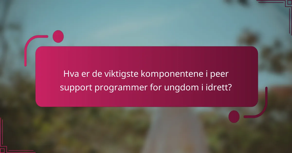 Hva er de viktigste komponentene i peer support programmer for ungdom i idrett?